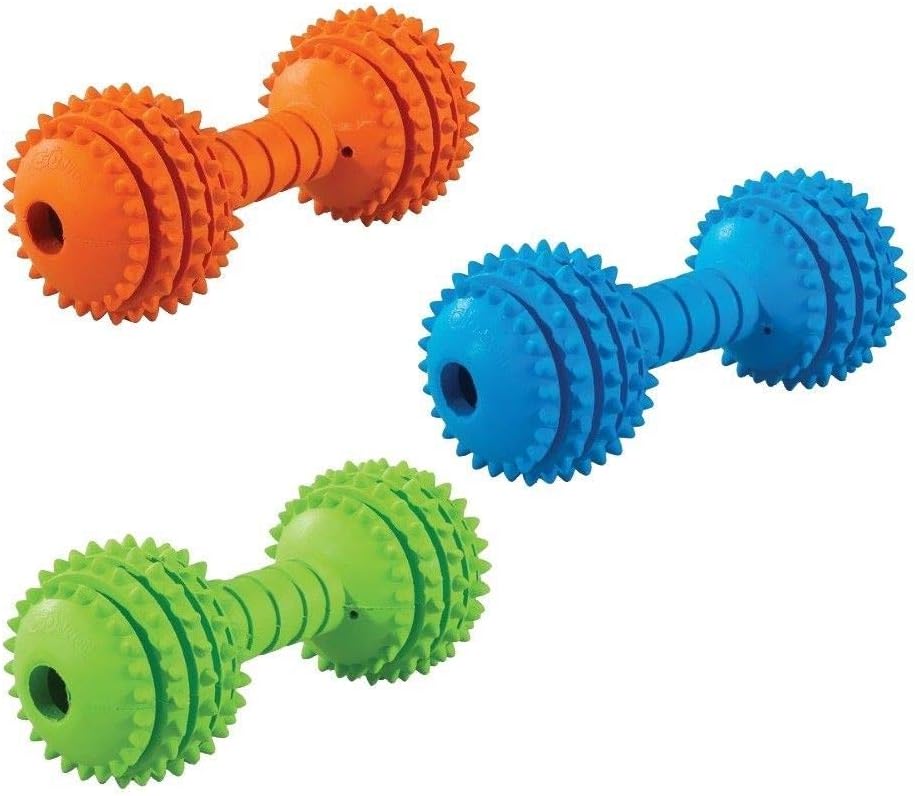 Petmate JW Chompion Dog Chew Toy Medium - Middleweight