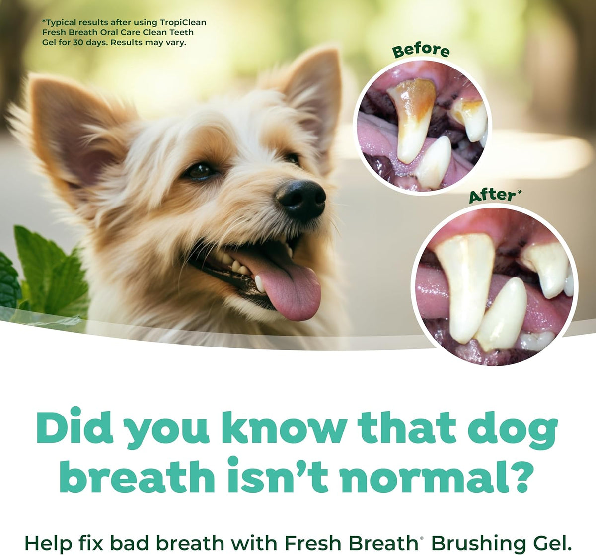 TropiClean Fresh Breath Dental & Oral Care Brushing Gel for Dogs, 2oz