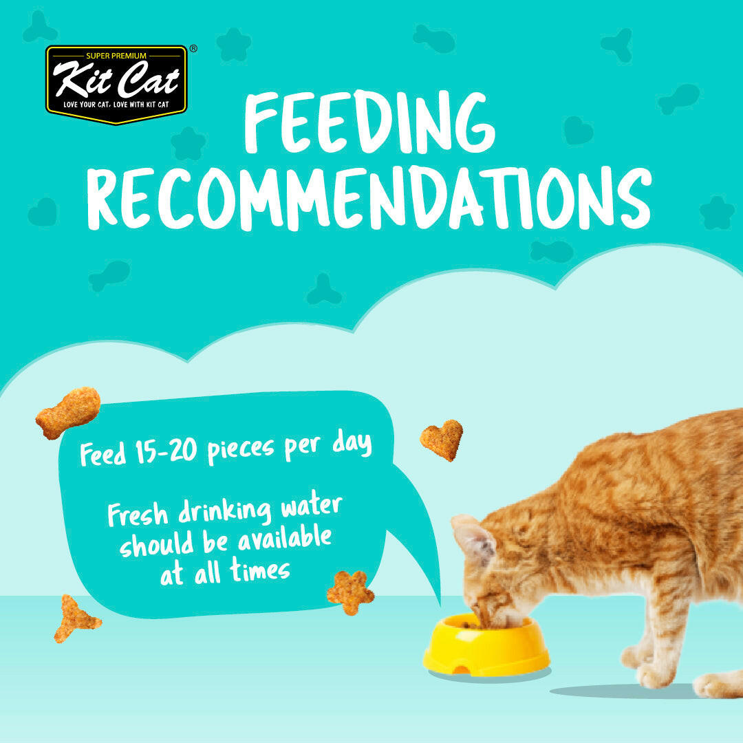 Kit Cat - Kitty Crunch Lamb Flavor (60g)
