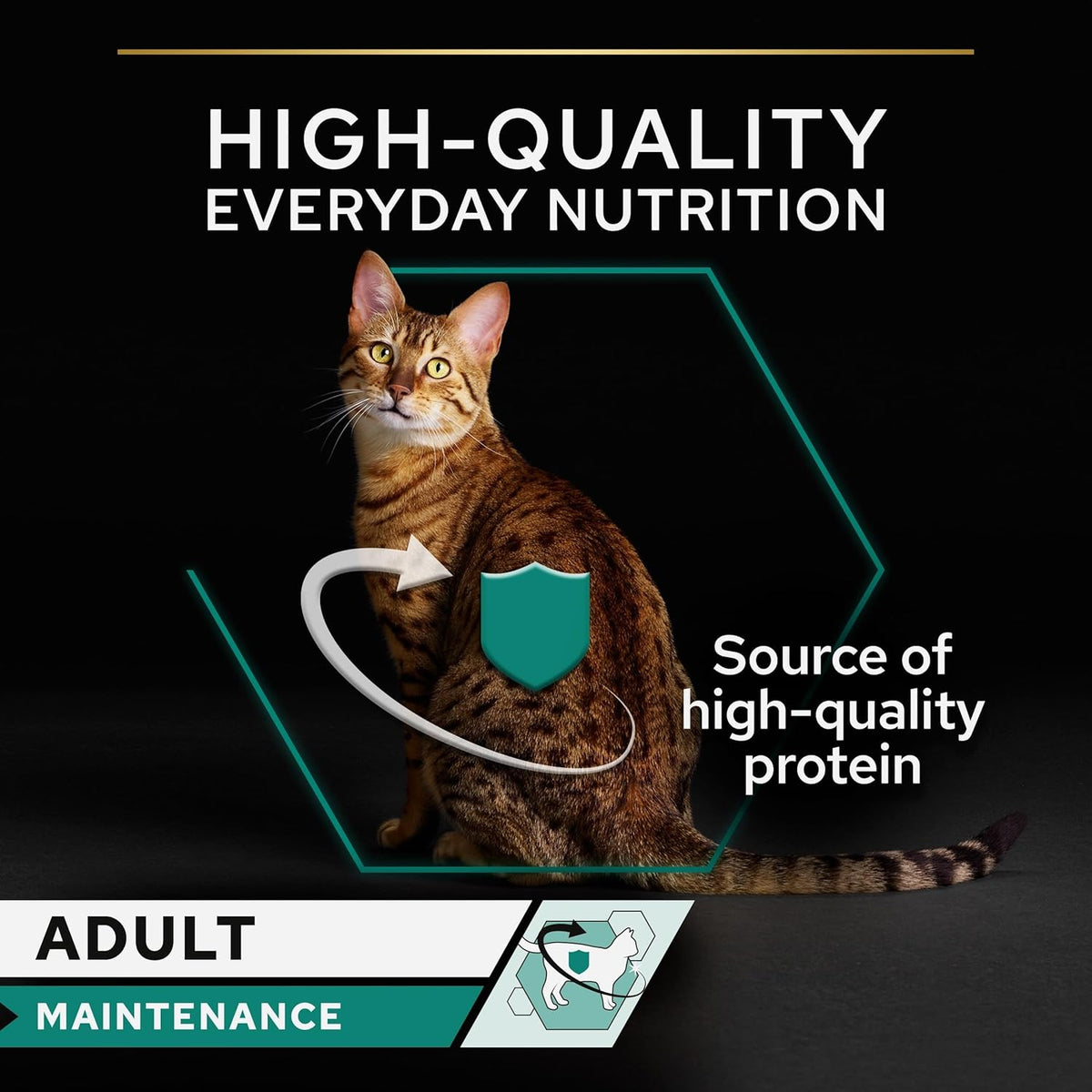 Pro Plan Adult Maintenance, Wet Cat Food, Terrine rich in Chicken 85g