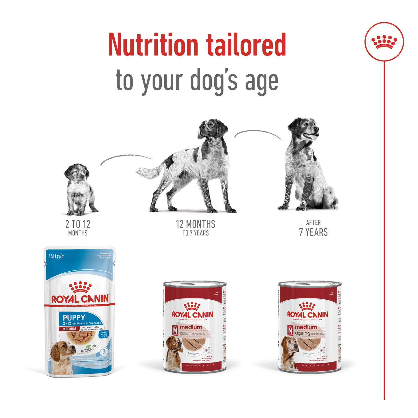 Royal Canin Size Health Nutrition Medium Adult (Wet Food - Can) 410G