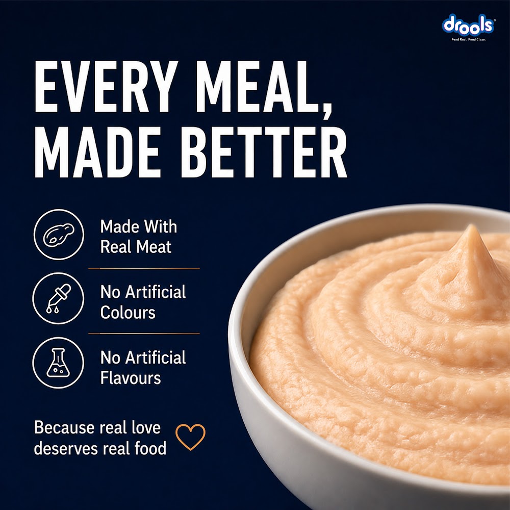 Drools Chicken Mousse Kitten 80g (5+1)Pc
