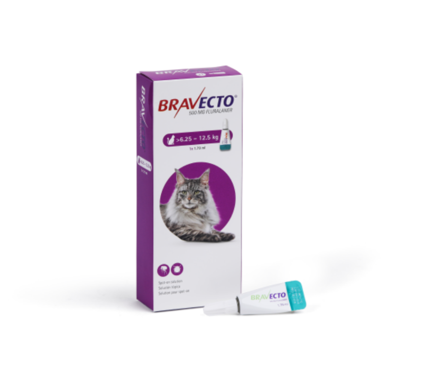 Bravecto Spot On for Cat 500mg 6.25 -12.5kg 1x 1.79ml Large Cats