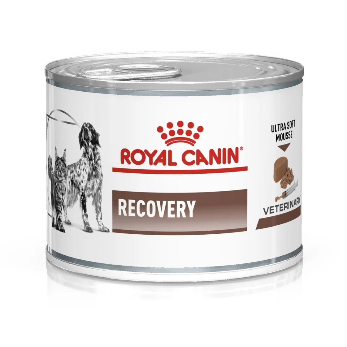 Royal Canin Veterinary Nutrition Recovery can on a white background