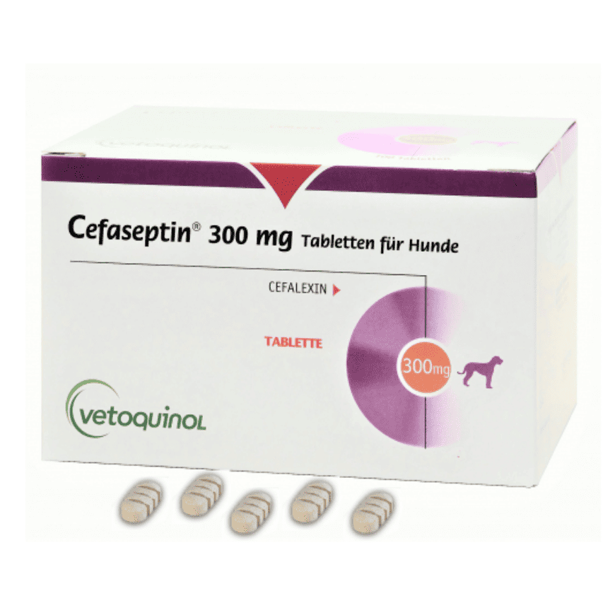 CEFASEPTIN300MG 100 TABS GB( CEPHALAXIN 300MG )