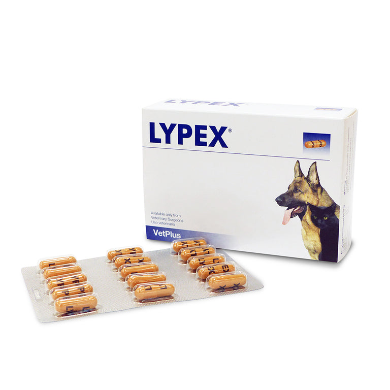 Lypex for Cats & Dogs