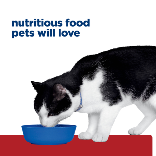 Hill's Prescription Diet i/d Chicken & Vegetable Stew Cat Food 82g x 24