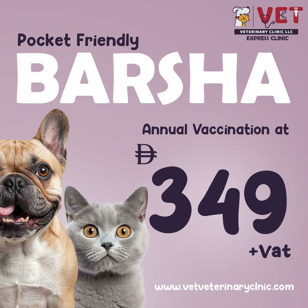 Annual Vaccination - Al Barsha Clinic
