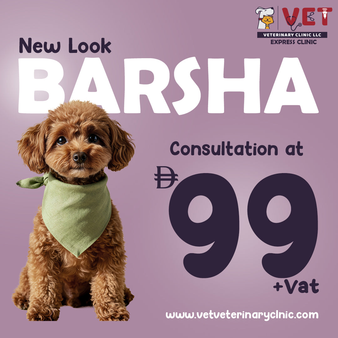 Vet Consultation - Al Barsha Clinic