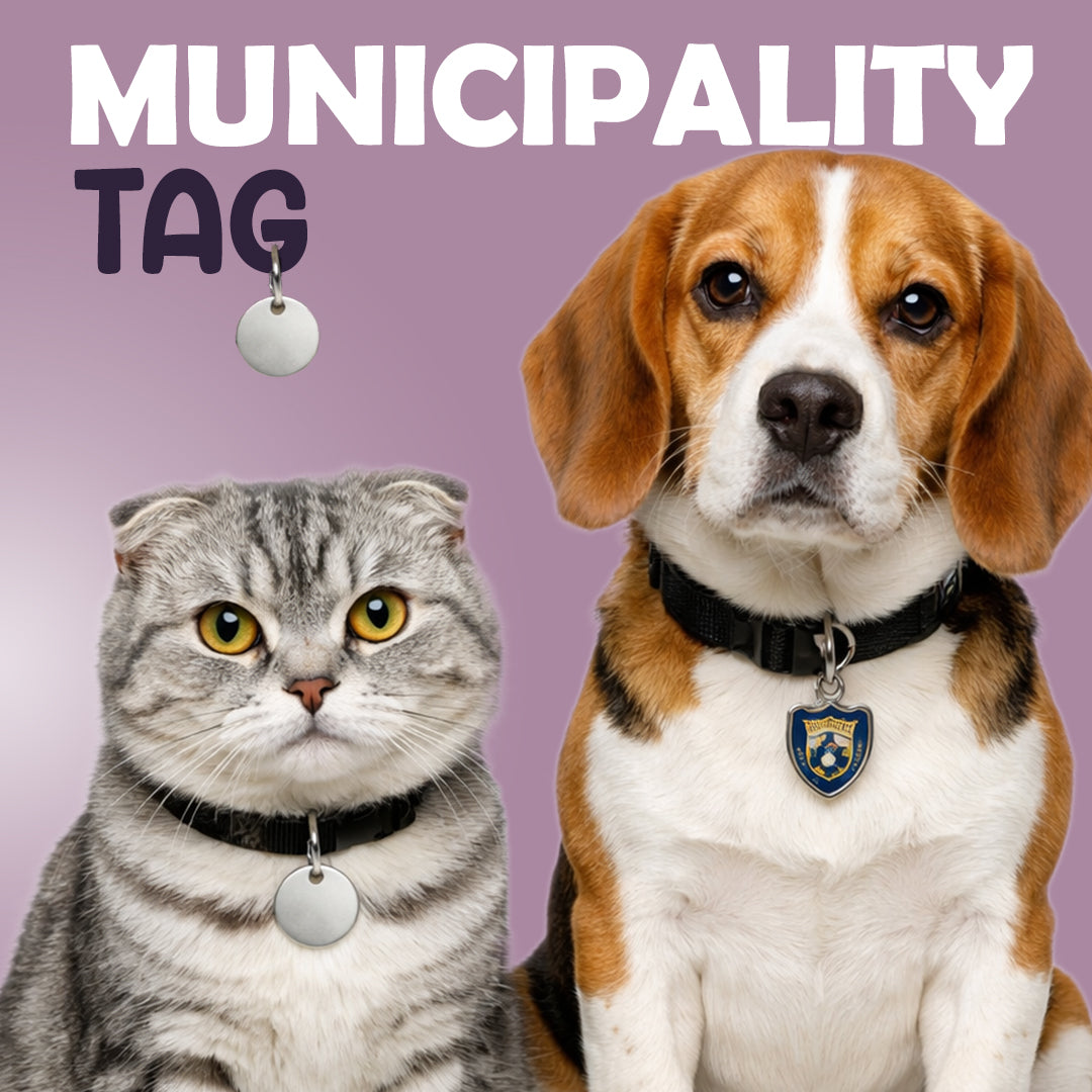 MUNICIPALITY TAG