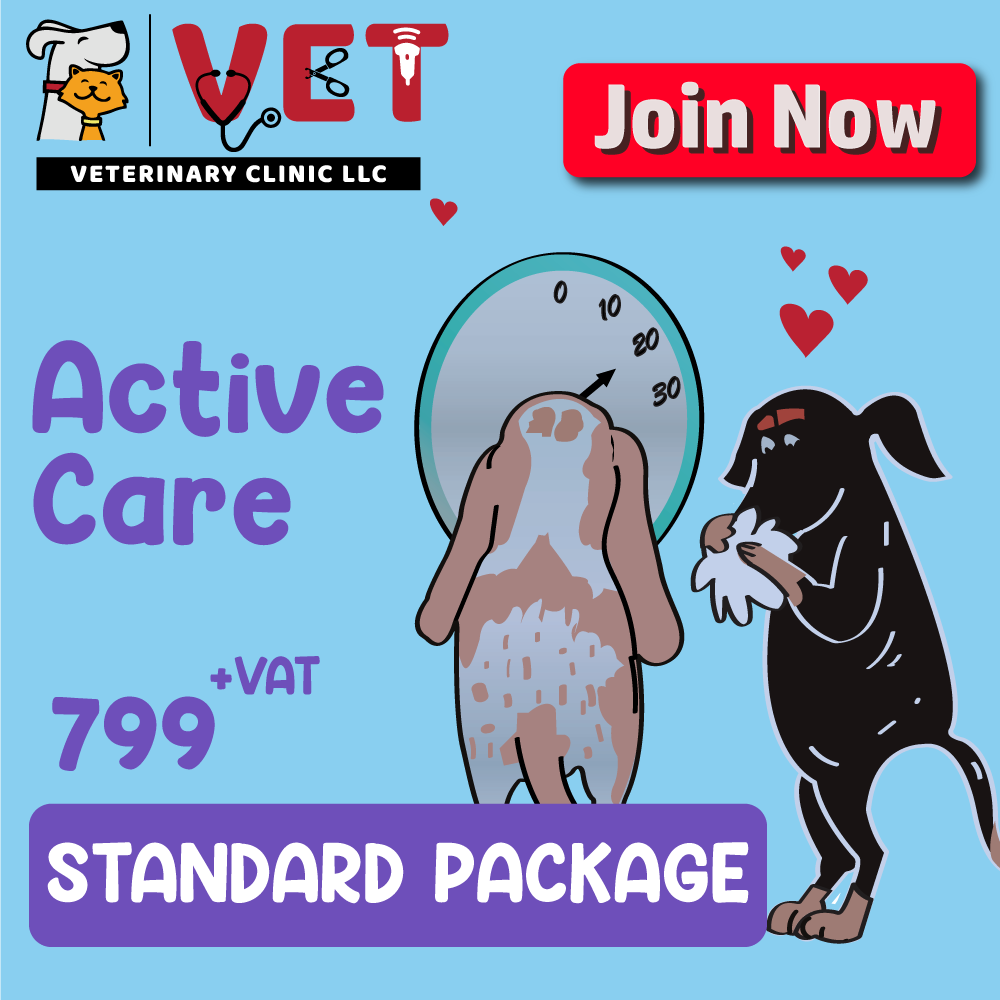 Active Care (Standard Package)