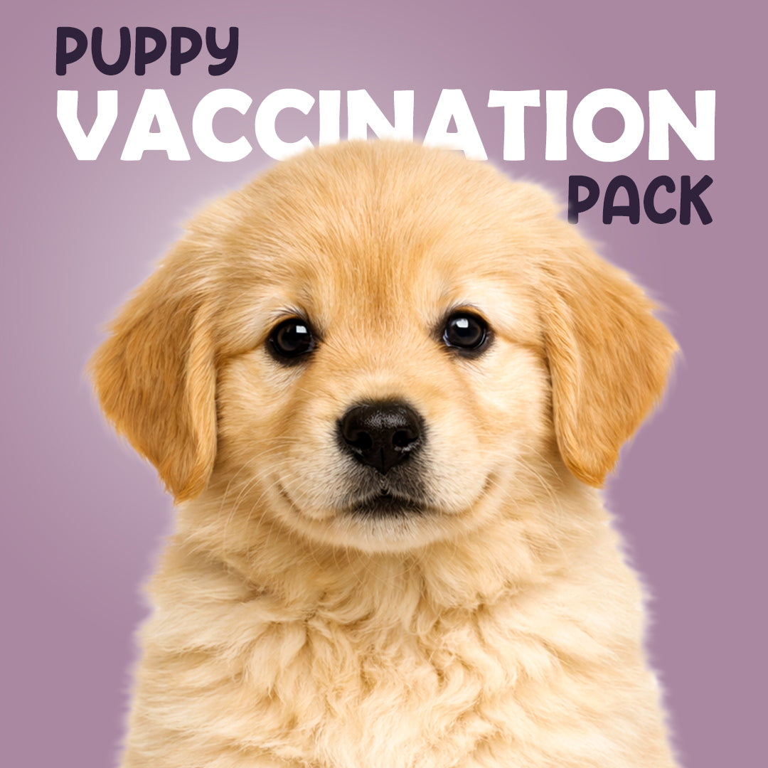 PUPPY VACCINATION PACKAGE