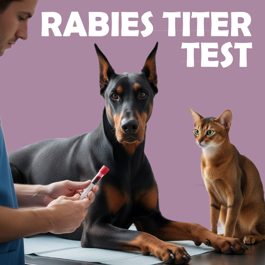 Anti Rabies Titer Test