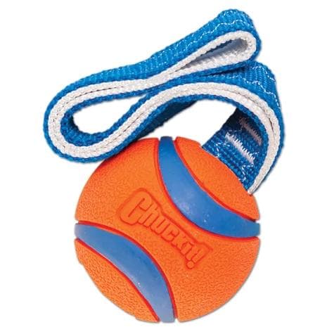 Petmate Chuckit! Ultra Tug Small