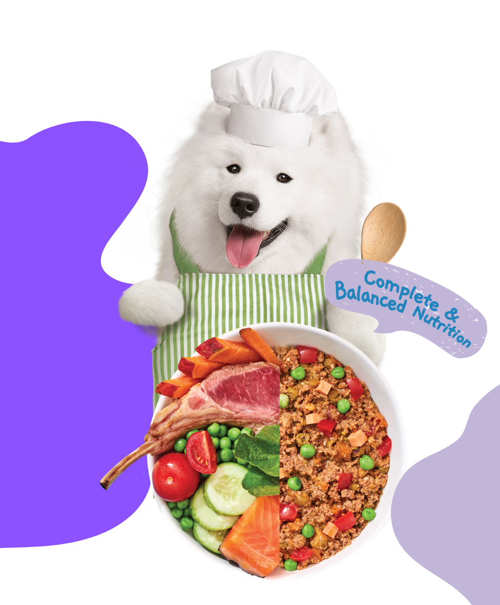 Moochie Home Cooked Dog Food - Joint and Bone - Lamb, Sweet Potato & Spinach Recipe 255g