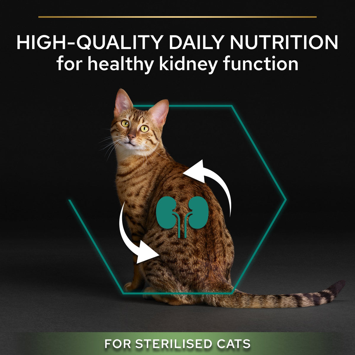 Pro Plan Sterilised Adult Renal Plus Dry Cat Food with Turkey, 1.5 kg