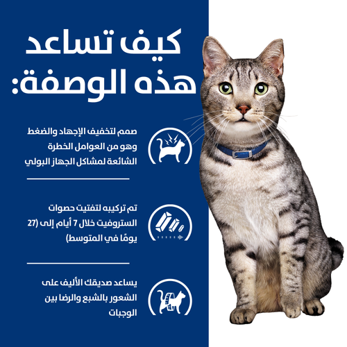 Hill's PRESCRIPTION DIET c/d Multicare Stress + Metabolic Cat Dry Food 3Kg