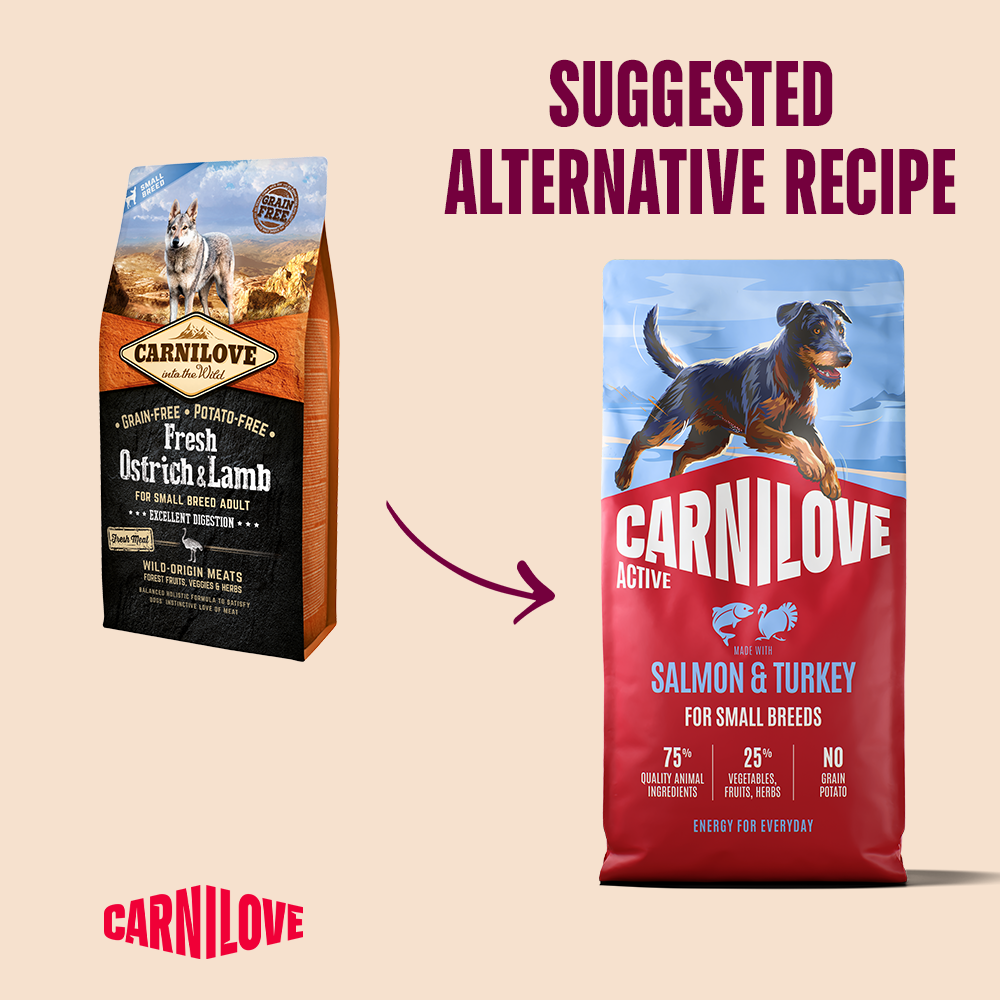 Carnilove Active Salmon & Turkey for Adult Small Breeds Dry Dog Food 12kg