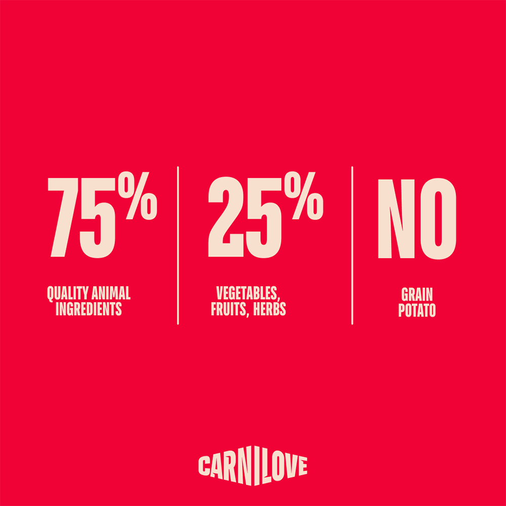 Carnilove Active Salmon & Turkey for Adult Small Breeds Dry Dog Food 12kg
