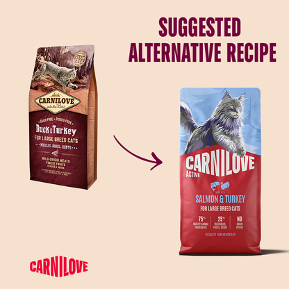 Carnilove Active Salmon & Turkey for Adult Large Breeds Dry Cat Food 6kg
