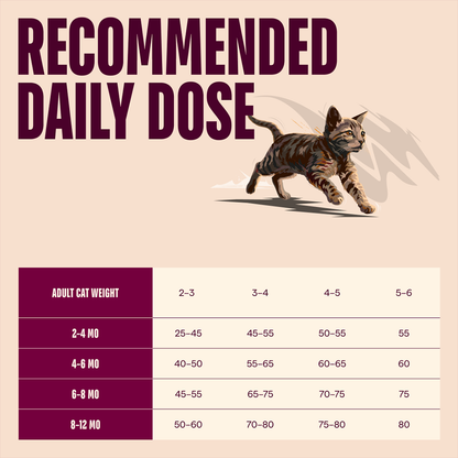 Carnilove True Fresh Beef for Kittens Dry Cat Food 6kg