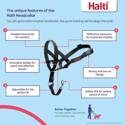COA HH022 Head Collar Black- size2