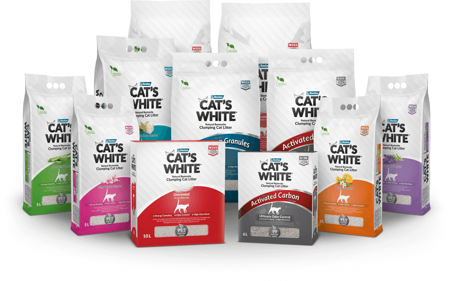 Cat's White 5L Marsialla Soap 99.5% Dust Free