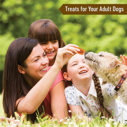 Dog Fest Farm Fresh Chicken Fillet Bar Treats - 90g