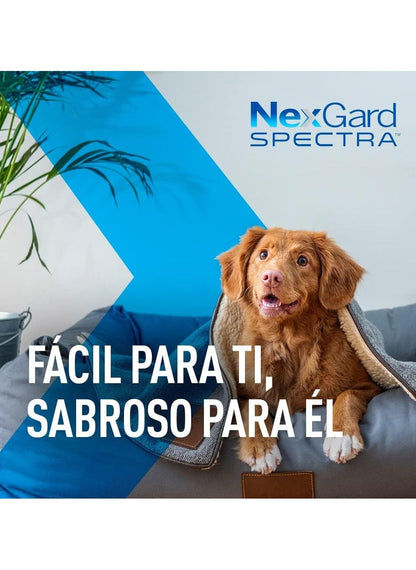 Nexgard Spectra Xl 30.1- 60 Kg)