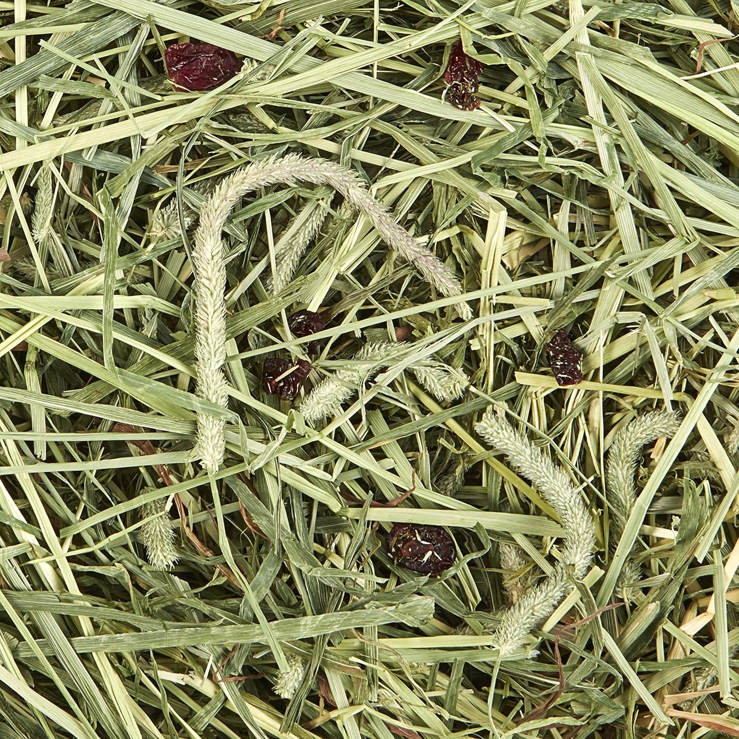 Kaytee KT Timothy Hay Plus Cranberry 6/24OZ/700g For Small Animals