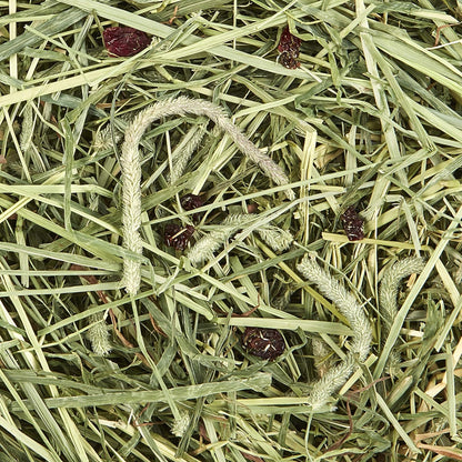 Kaytee KT Timothy Hay Plus Cranberry 6/24OZ/700g For Small Animals