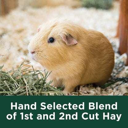 Kaytee KT Timothy Hay Plus Cranberry 6/24OZ/700g For Small Animals