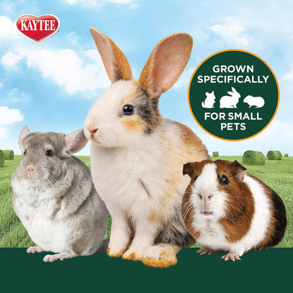 Kaytee KT Timothy Hay Plus Cranberry 6/24OZ/700g For Small Animals