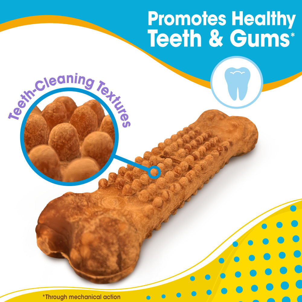 Nylabone Nubz Puppy Turkey & Sweet Potato 8-Count Small – Gentle Edible Puppy Treats UAE