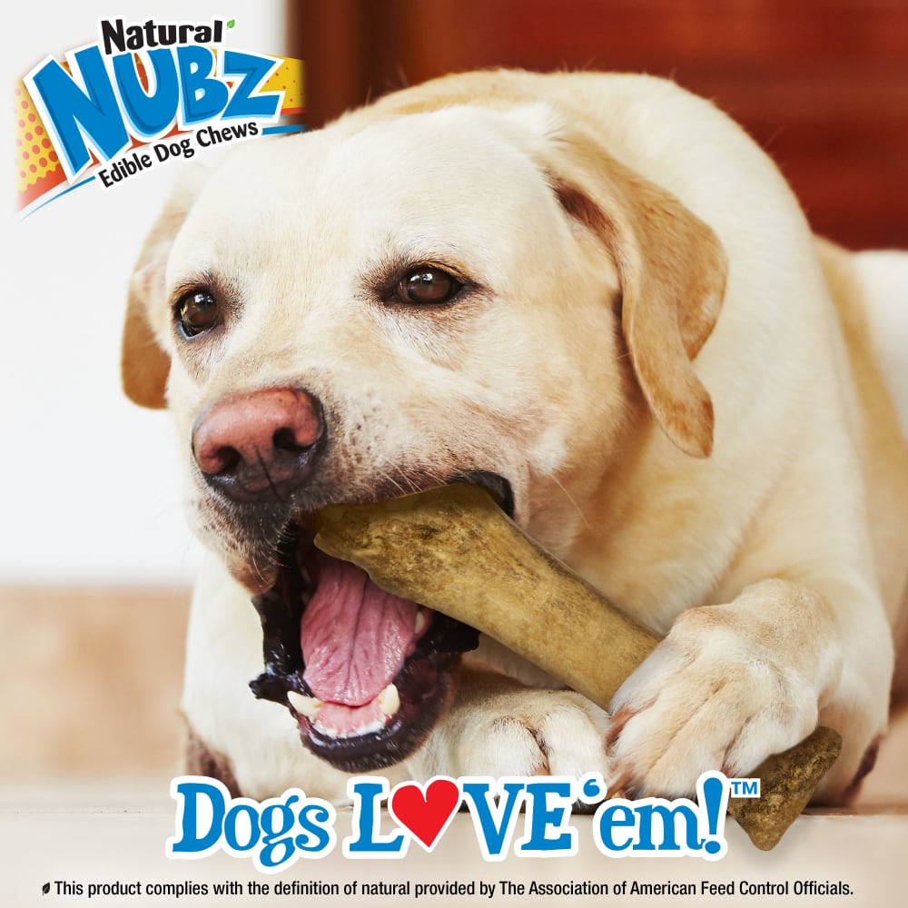 Nylabone Nubz Chicken 1-Count XL – Extra-Large Edible Chicken Dog Treat UAE