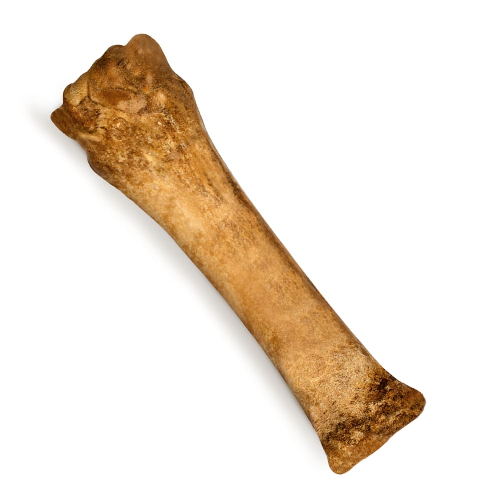 Nylabone Nubz Chicken 1-Count XL – Extra-Large Edible Chicken Dog Treat UAE