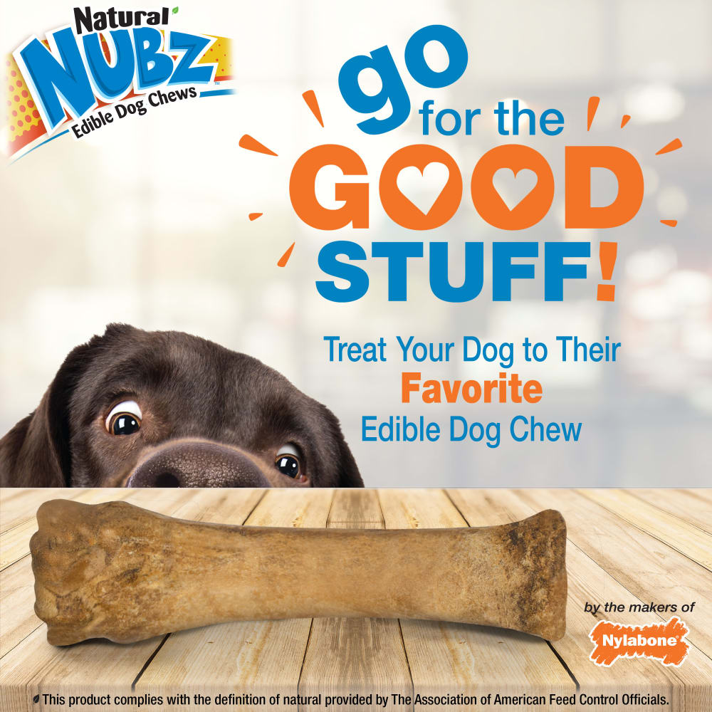 Nylabone Nubz Chicken 1-Count XL – Extra-Large Edible Chicken Dog Treat UAE