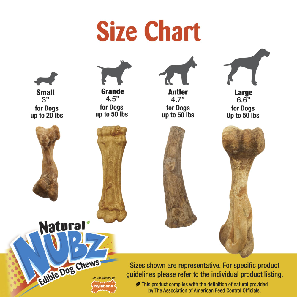 Nylabone Nubz Ham with Bone Broth 1-Count Giant – Premium Edible Ham Dog Treat UAE