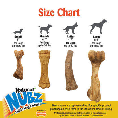 Nylabone Nubz Ham with Bone Broth 1-Count Giant – Premium Edible Ham Dog Treat UAE