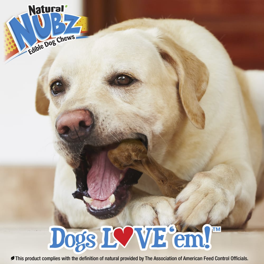 Nylabone Nubz Ham with Bone Broth 1-Count Giant – Premium Edible Ham Dog Treat UAE