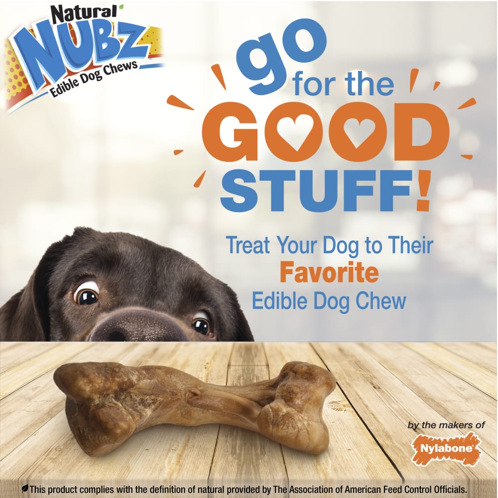 Nylabone Nubz Ham with Bone Broth 1-Count Giant – Premium Edible Ham Dog Treat UAE