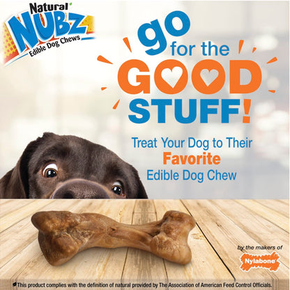 Nylabone Nubz Ham with Bone Broth 1-Count Giant – Premium Edible Ham Dog Treat UAE