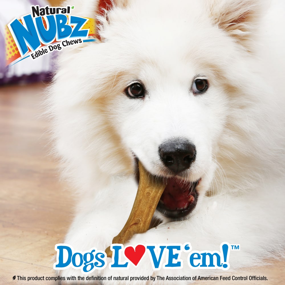 Nylabone Nubz Peanut Butter 2-Count Grande – Edible Peanut Butter Dog Treat Chews UAE
