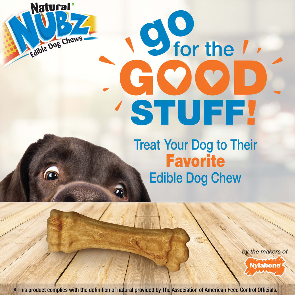 Nylabone Nubz Peanut Butter 2-Count Grande – Edible Peanut Butter Dog Treat Chews UAE