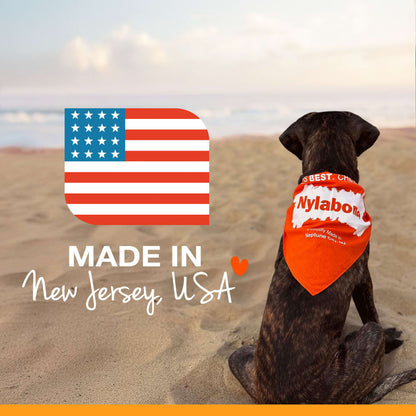 Nylabone Power Chew Barbell Peanut Butter Giant/Souper – Barbell-Shaped Nylon Chew for XL Dogs UAE