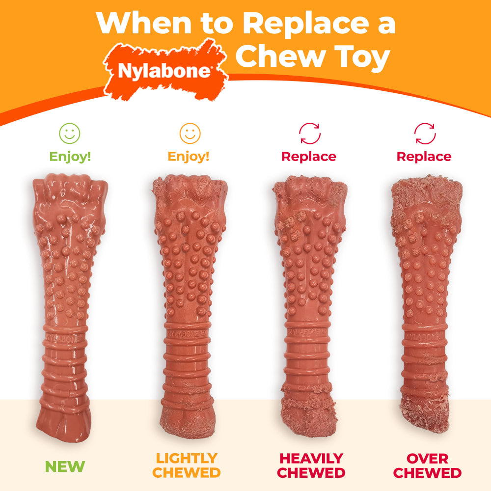 Nylabone Power Chew Barbell Peanut Butter Giant/Souper – Barbell-Shaped Nylon Chew for XL Dogs UAE
