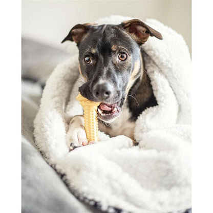 Nylabone Power Chew Barbell Peanut Butter Giant/Souper – Barbell-Shaped Nylon Chew for XL Dogs UAE
