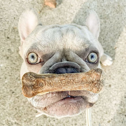 Nylabone Healthy Edibles Longer Lasting Roast Beef 2-Count Wolf – Large Dog Beef Treat UAE