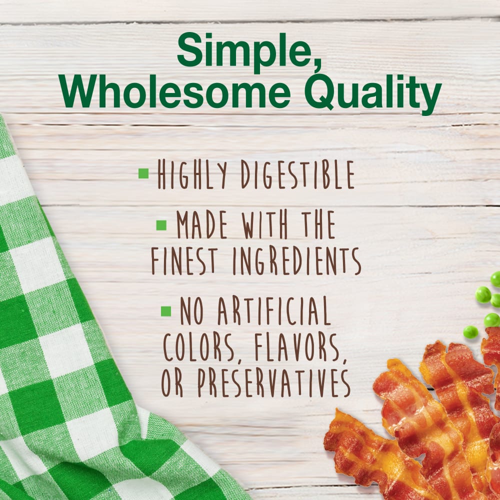 Nylabone Healthy Edibles Longer Lasting Bacon 2-Count Wolf – Long-Lasting Bacon Dog Treat UAE