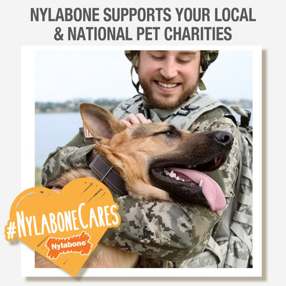 Nylabone Healthy Edibles Longer Lasting Bacon 2-Count Wolf – Long-Lasting Bacon Dog Treat UAE